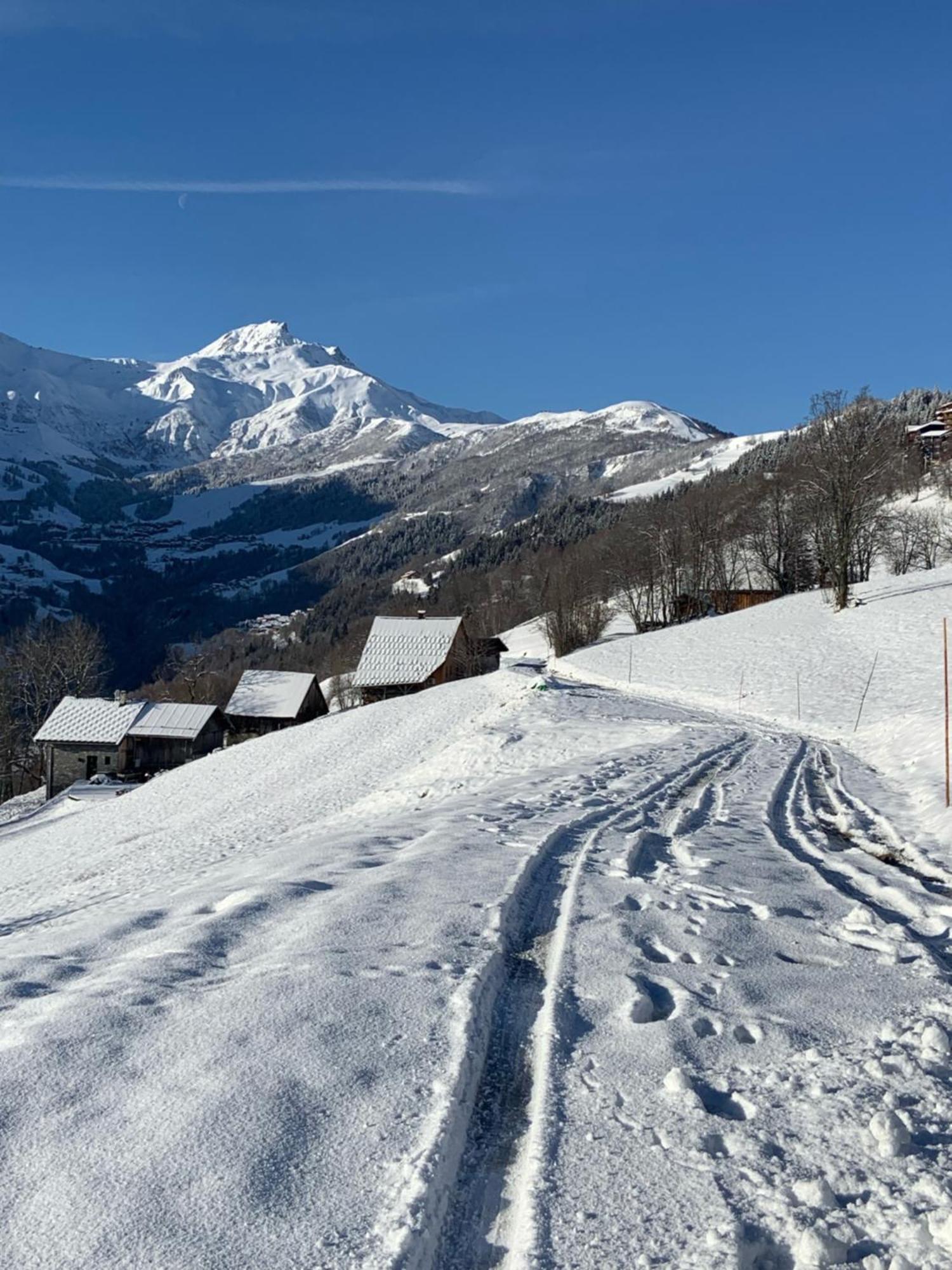 Chalet Confidentiel Valmorel - Chalet De Haut De Gamme 4 Etoiles 12 Personnes Doucy Exterior foto